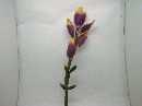 Bananenblüte pink/weiß so 110cm