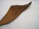 Cocosfaserplatten NATUR mittel ca.1kg