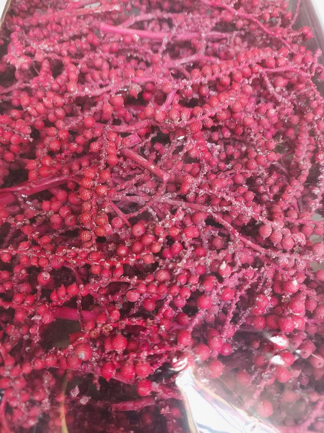 Canella Frosted Erika normale Beeren