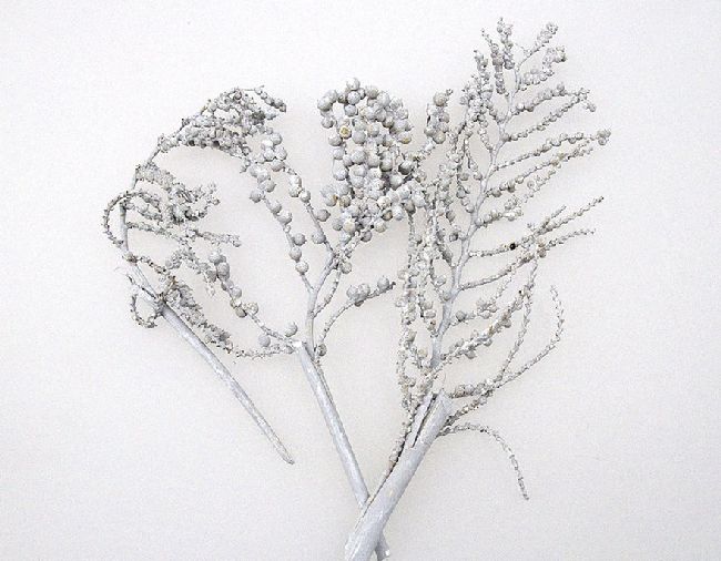 Canella Stone-WASHED normale Beeren