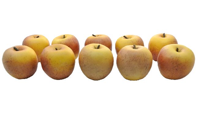Apfel/schwer ORANGE 8 cm
