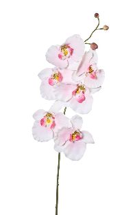 Orchideenzweig Phalaenopsis ROSA 10 1017101 76cm 6 Blüten Ø8-10cm