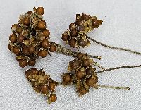 Baby Wood Rose NATUR 