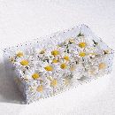Margeriten Streu WEISS-GELB 14657 02001 2,5cm+4,5cm