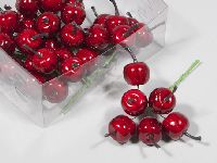 Apfel am Draht ROT 200252 2,5 cm   36 Stück