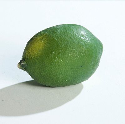 Limone GRÜN 65033 8,5cm Dekoobst
