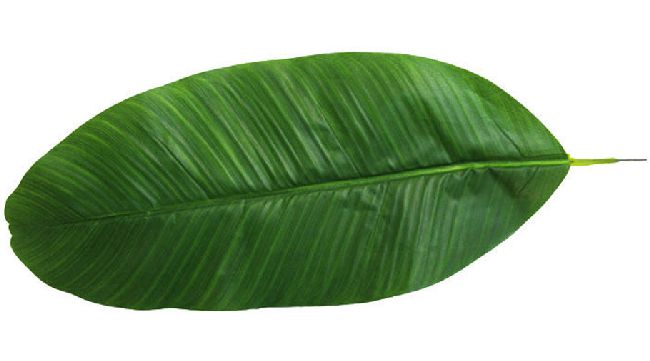 Bananenblatt GRÜN 183406 25,5x58cm + 16cm Stiel