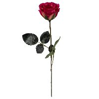 Rose Madame PINK  06 Länge:37cm  1333